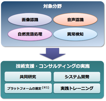 これからの取り組み
