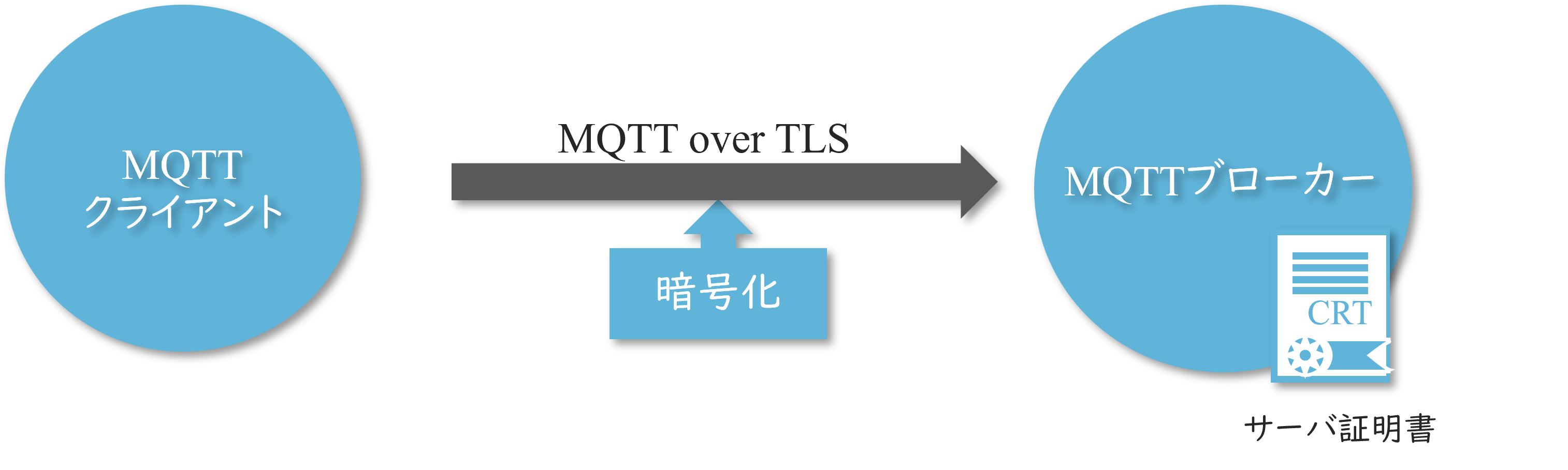 7973_image1.png