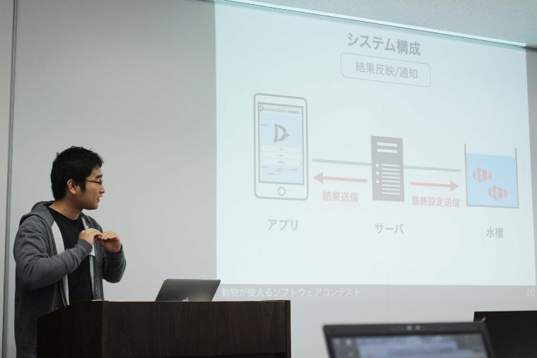 システム構成