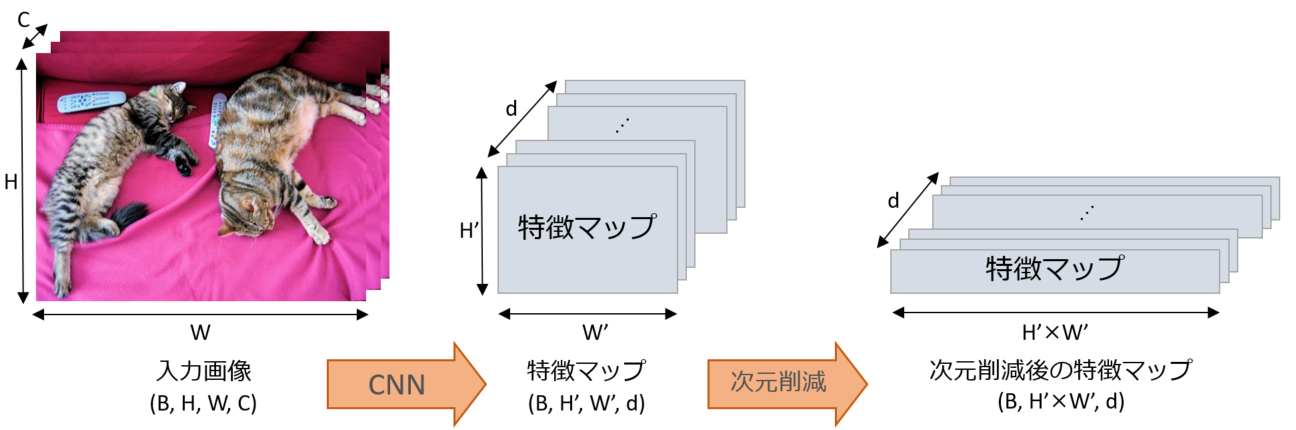 backboneの処理イメージ