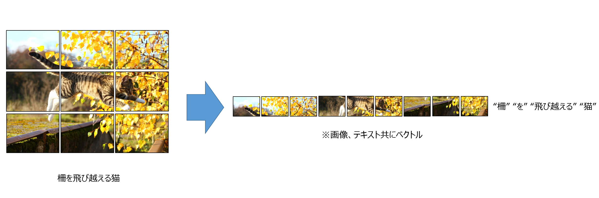 画像とテキストのConcat例
