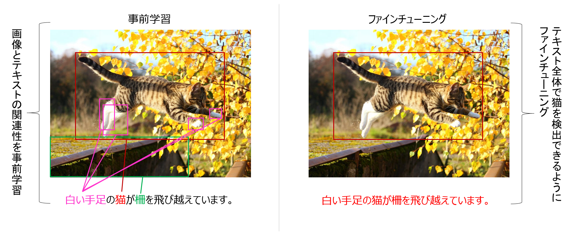 事前学習とファインチューニングの例