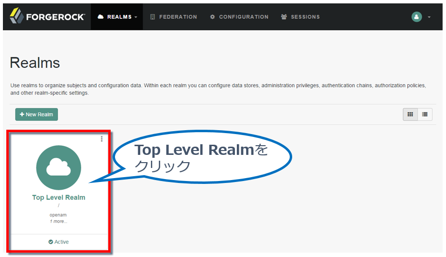 Top Level Realmをクリック