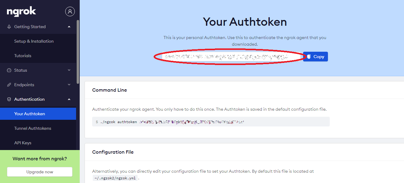 ngrok_authtoken