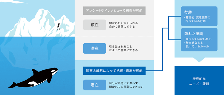 行動観察の特長