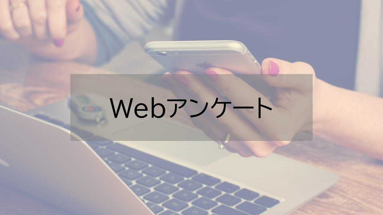 6637_webquestionnaire.jpg
