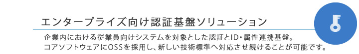 認証基盤ソリューション