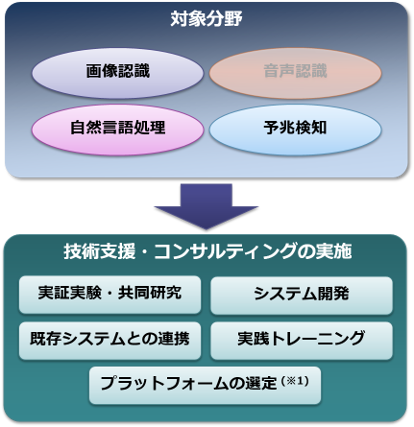 これからの取り組み