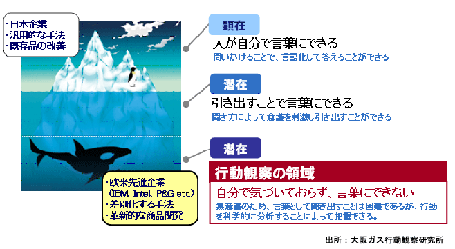 行動観察の領域