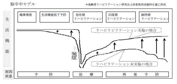 脳卒中モデル[2]