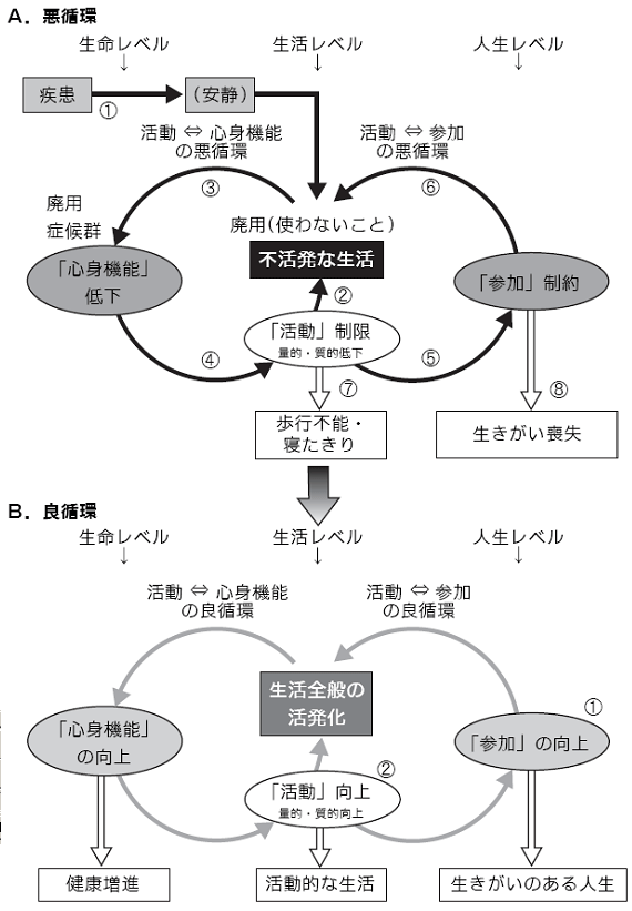 脳卒中モデル[2]