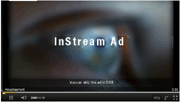 インストリーム型（プリロール）動画広告例