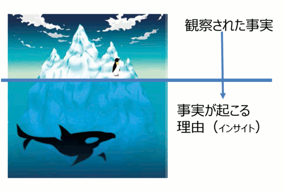 事実とインサイト