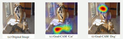 Grad-CAMによるＣＮＮの注目箇所