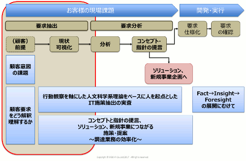 行動観察×IT　プロセスの全体像