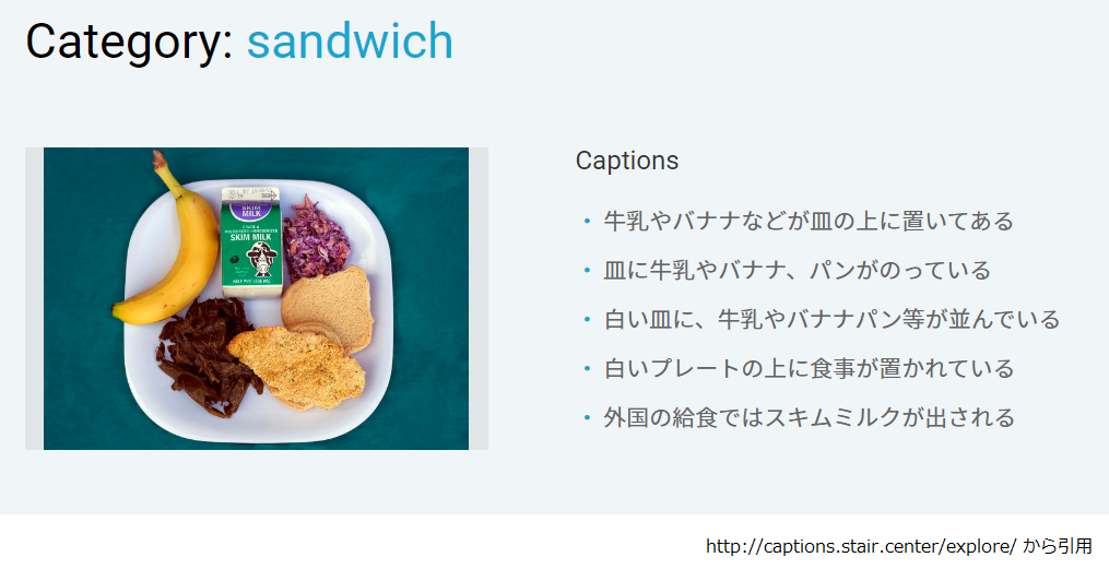 STAIR Captions の一例 stair_captions